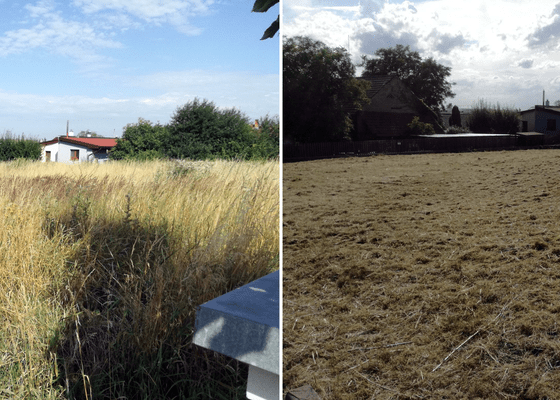 Sečení neudržované stavební parcely