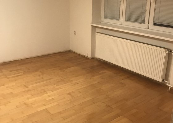 Renovace plovoucí podlahy 1 pokoj