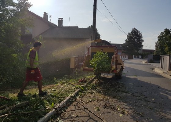 Kácení stromů a mýcení křovin