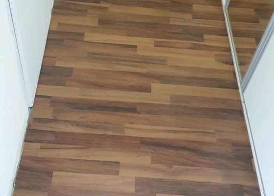 Renovace podlahy - parkety (1 místnost)