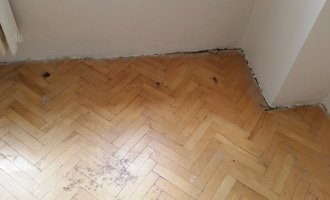 Renovace podlahy - parkety (1 místnost) - stav před realizací