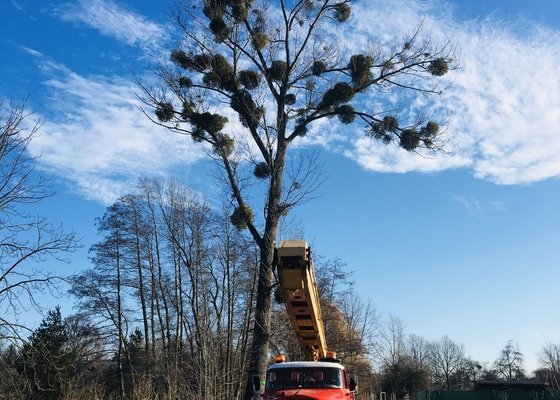 Rizikové kácení pomocí automobilové plošiny