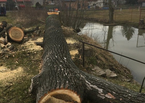 Rizikové kácení pomocí automobilové plošiny