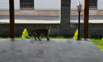 Montáž boční markýzy a stříšky nad dveře garáže - stav před realizací