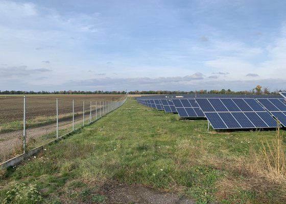 Sekání 100.000m2 FVE Křídlůvky