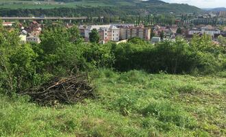 Vyčištění pozemku od náletů - stav před realizací