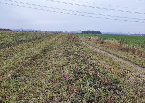 Výsadba 155 ovocných stromů na Šeberově