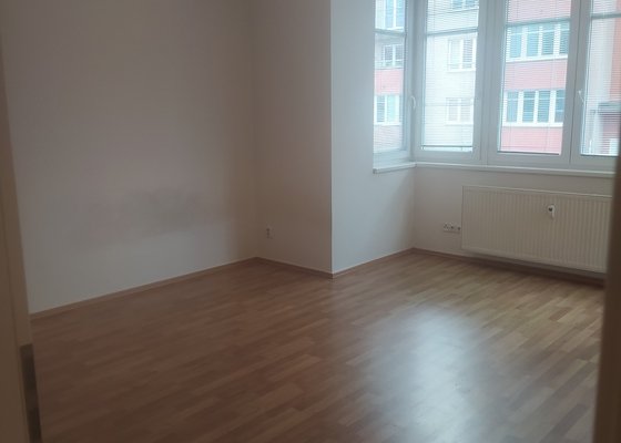 Oprava spár ve zdi a vymalovat byt 40 m2