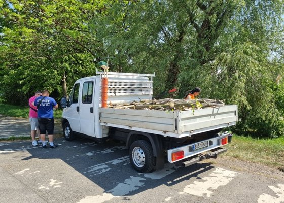 Kácení dřevin, sekání křoví a drobného stromového porostu, likvidace odpadu dřevin