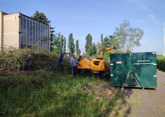 Kácení dřevin, sekání křoví a drobného stromového porostu, likvidace odpadu dřevin