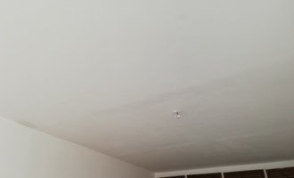 Renovace stropu (2 místnosti)