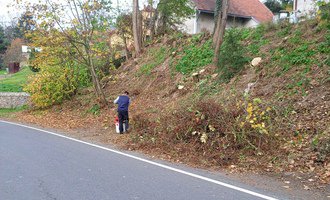 Kácení stromů ve svahu