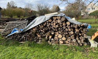 Zpracování dřeva do dřevníku - stav před realizací