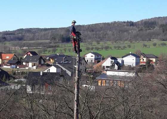 Rizikové kácení nad objektem.