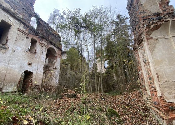 Rizikové kácení v prostoru a na zdech zříceniny kláštera