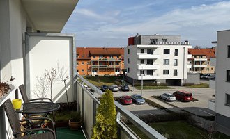 Síť pro kočku na balkon - stav před realizací