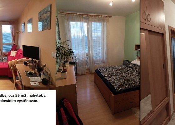 Vymalování bytu, 2 místnosti, 55 m²