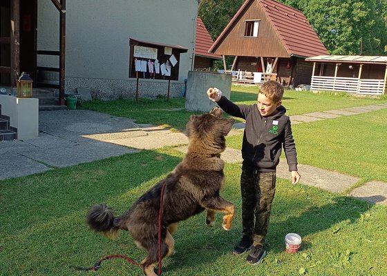  - stav před realizací