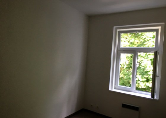 Malování bytu, 2 místnosti, 36 m²