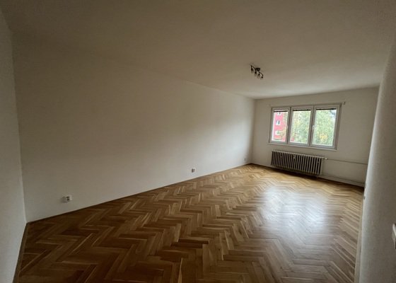 Malování bytu, více než 5 místností, 56 m²