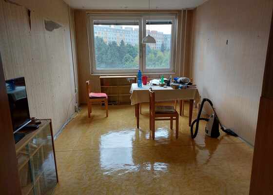 Vymalování bytu, 2 místnosti, 32 m²