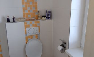 Rekonstrukce zděné koupelny s WC - stav před realizací