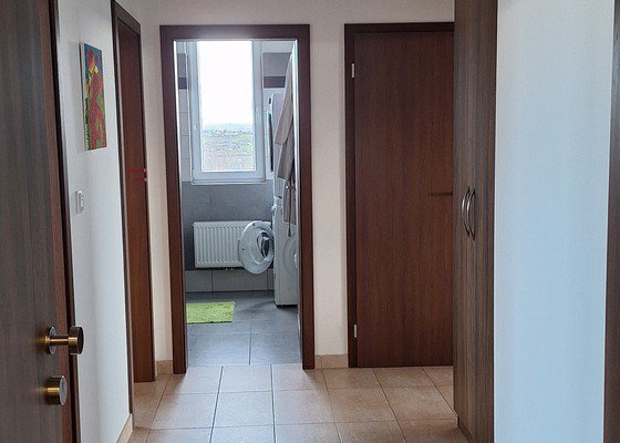 Malování pokojů, 4 místnosti, 34 m²