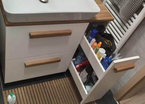 Cabinet under the sink