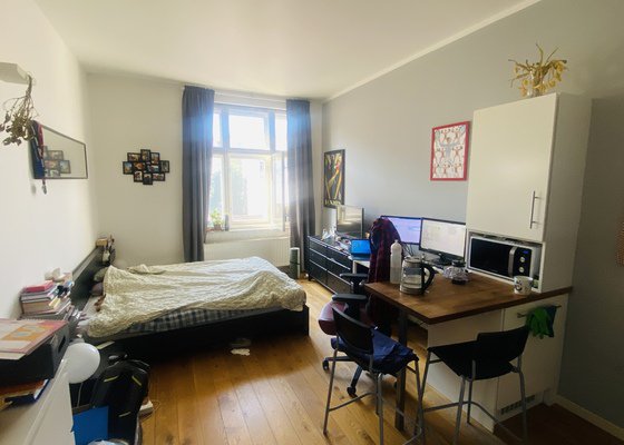 Malování bytu, 2 místnosti, 25 m²