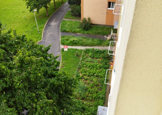 Sekání trávy před panelovým domem - stav před realizací