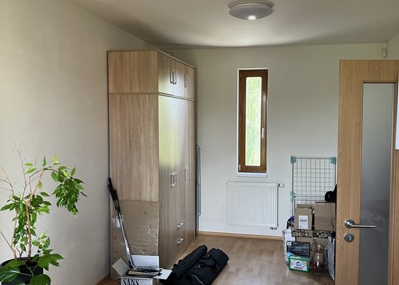 Malířské práce malování, více než 5 místností, 125 m²