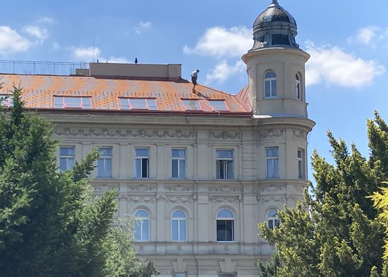 Bodáky proti holubům