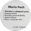 Mario Pech