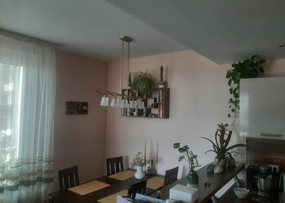 Vymalování pokoje, 2 místnosti, 20 m²