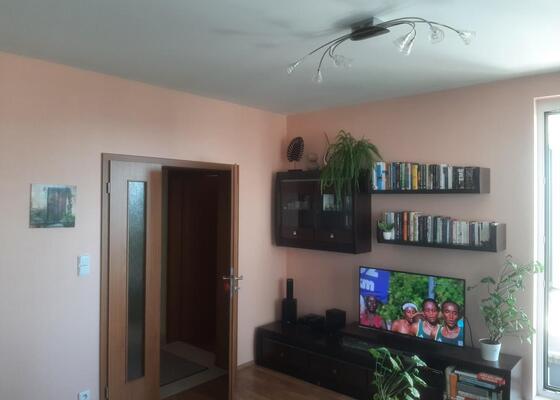 Vymalování pokoje, 2 místnosti, 20 m²