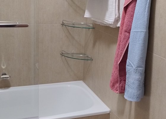 Rekonstrukce/renovace koupelny a WC