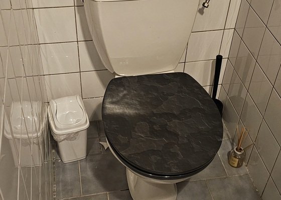 Výměna WC