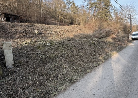 Vysekání podrostu a křovin na pozemku  cca 1300metru ctverecnich okres Trebotov/Solopisky