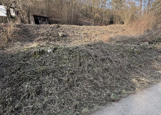 Vysekání podrostu a křovin na pozemku  cca 1300metru ctverecnich okres Trebotov/Solopisky