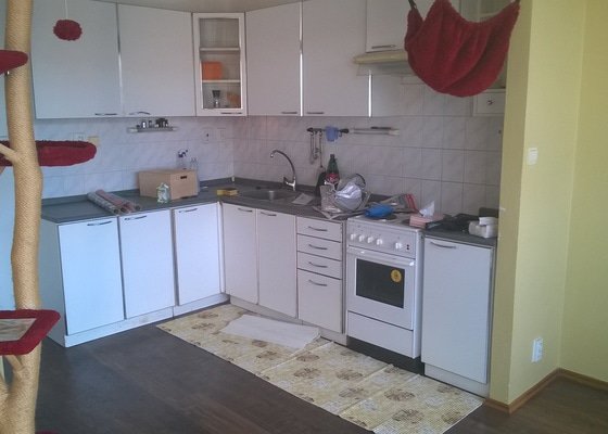 Renovace kuchynske linky